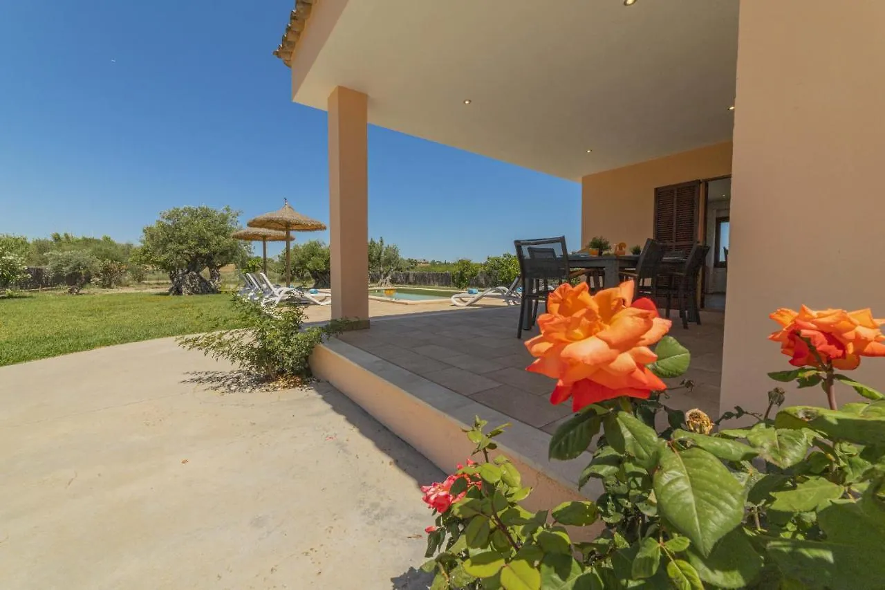 Villa Can Segue Alcudia   Alcudia (Mallorca)